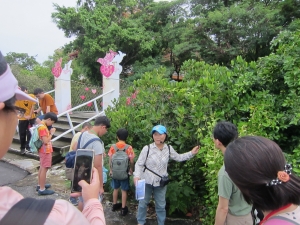 03-導覽員介紹四草植物.JPG